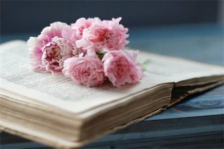 浙江專升本加分政策!快來看看，你能加分嗎?