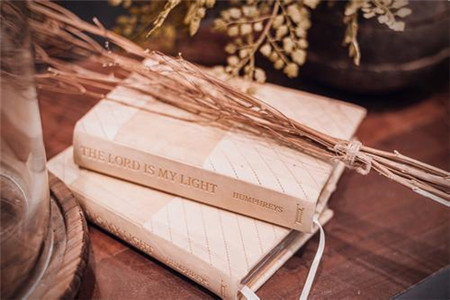 浙江自考 熱門專業(yè)