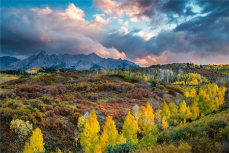 2020年4月浙江自考專升本西方政治制度重要知識點(diǎn)一