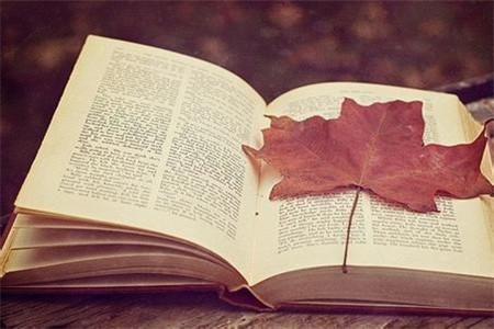 杭州師范大學成考專升本學費標準及學歷證書