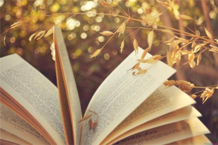 2020年浙江專升本：成考英語備考資料六