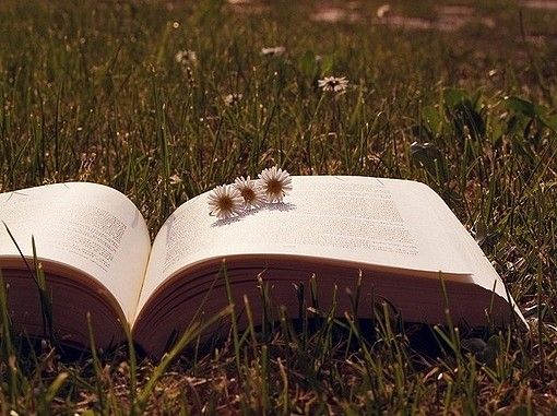 自考本科報考條件是什么?有哪些注意事項?