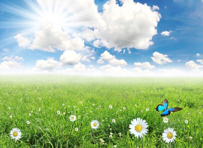 2020年浙江成考專升本