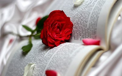 浙江專轉(zhuǎn)本專業(yè)課難度有多大?