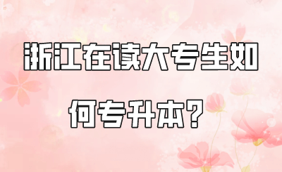 浙江在讀大專生如何專升本？