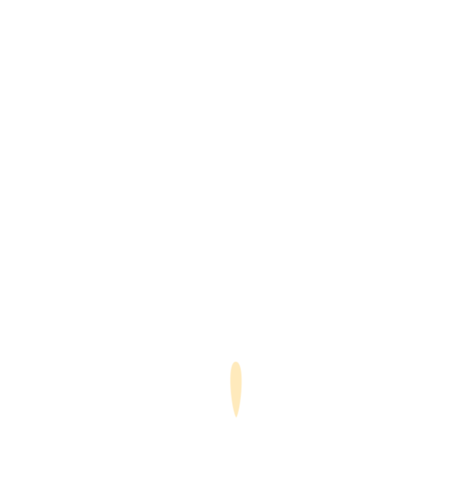 浙江專升本.gif